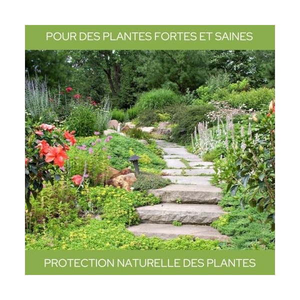 nutrive pharma Huile de neem avec émulsifiant