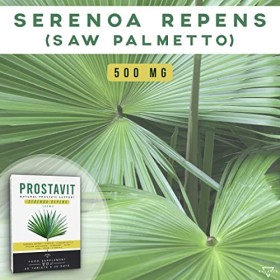 PROSTAVIT® - SERENOA REPENS 500MG | Saw Palmetto | Prostate pour Homme, Femme | 8 principes actifs avec Saw Palmetto, Potiron