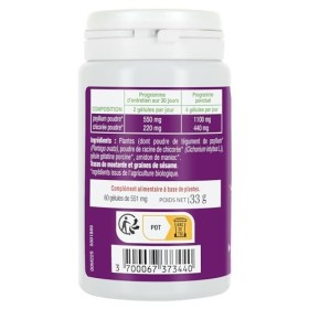 PHYTO-ACTIF |Colon Transit + | Complément alimentaire Digestion | Fonction intestinale normale | Facilite le Transit Intestin