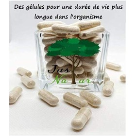 JustNatur-Psyllium-Fibre Plus-Ingrédients Naturels-Qualité Supérieure/ 90 gélules pour 3 mois de consommation