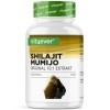 Mumijo Shilajit -180 gélules - Hautement Dosé avec 1500 mg par Portion Journalière - Extrait 10:1 - Sans additifs indésirable