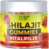 Gummies Naturelles Shilajit – 90 Pièces | 2200 mg – Gummies Premium Shilajit avec Crinière de Lion, Reishi, Chaga & Cordyceps