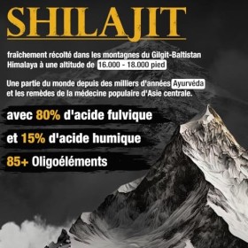 Shilajit Gold Standard 60g | 85+ Minéraux | Puissance maximale de lHimalaya | Plus de 3 mois de stock | 100% Pur & Original 