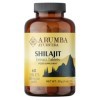 Shilajit Comprimés 10 000 mg, 60 jours dapprovisionnement, 60 % dacide fulvique – Comprimés dextrait de Shilajit pur pas 