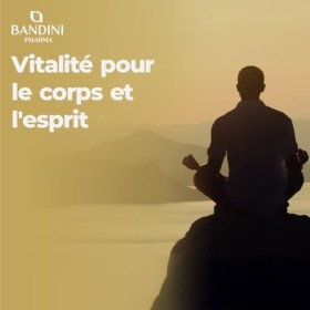 Bandini® Mumijo Shilajit 120 gélules, 1000 mg par dose journalière, loriginal pur de lHimalaya, riche en 85 minéraux, avec 