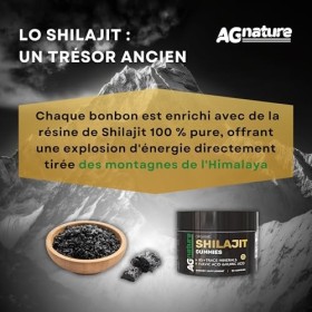 Shilajit Himalaya Original 90 Gummies - Complément Alimentaire Naturel avec +85 Minéraux et Acide Fulvique et Humique