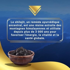 AG nature Shilajit Pur Himalaya Original 120cps | Complexe 8 en 1 de 15250 mg avec Ashwagandha, Rhodiola Rosea, Curcuma, Orti