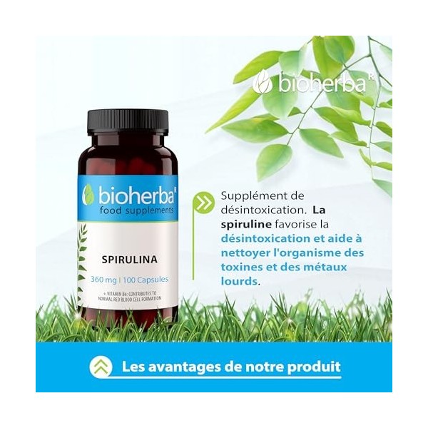 SPIRULINE Complément - Gélules 360 mg 100 pcs Superaliment Premium pour la Santé et la Vitalité par BIOHERBA