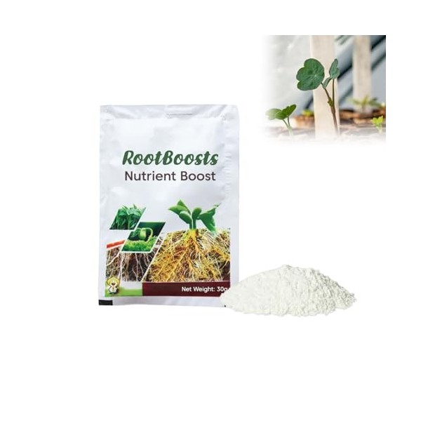 Grgowe Poudre De Verts Végétaux Bio,Super Greens En Poudre Bio,Green Superfood Mix Poudre Bio,Super Mélange De Verts,Poudre N