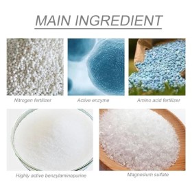 Grgowe Poudre De Verts Végétaux Bio,Super Greens En Poudre Bio,Green Superfood Mix Poudre Bio,Super Mélange De Verts,Poudre N