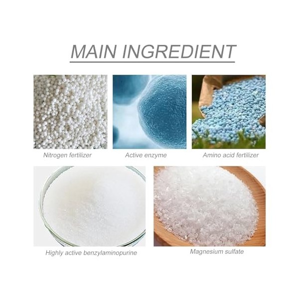 Grgowe Poudre De Verts Végétaux Bio,Super Greens En Poudre Bio,Green Superfood Mix Poudre Bio,Super Mélange De Verts,Poudre N