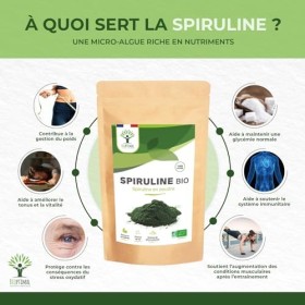 BIOPTIMAL - Spiruline Bio - 65% Protéines 14% BCAA 17% Phycocyanine Fer - Energie Sport Immunité - 100% Spiruline Pure en Pou