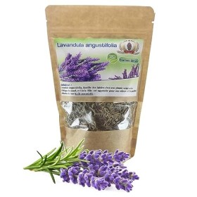 Tisane Lavande - Lavandula Angustifolia - Récoltée au Sud de lAlgérie - Sèche Sac 50 Gr