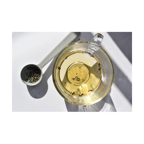 VYDA Infinitea First Harvest Azorean Green Tea, L-Theanine