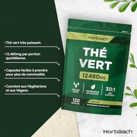 Thé Vert Gelules 12480 mg | Green Tea Extract | Extrait haute résistance | 120 gélules de poudre | Végétalien et végétarien |