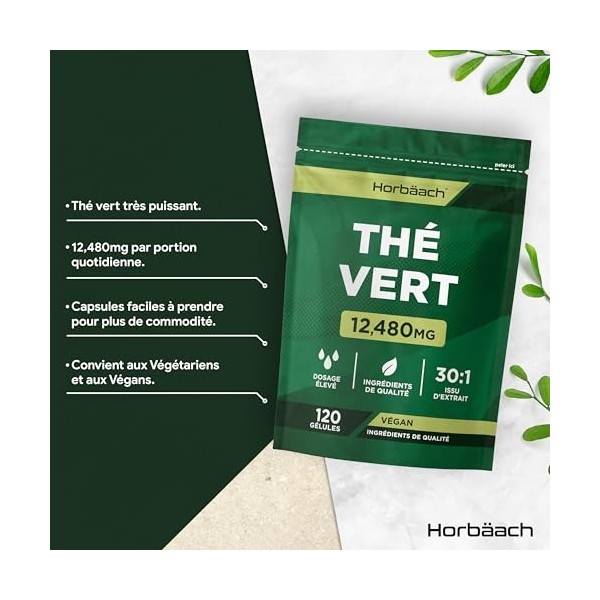 Thé Vert Gelules 12480 mg | Green Tea Extract | Extrait haute résistance | 120 gélules de poudre | Végétalien et végétarien |