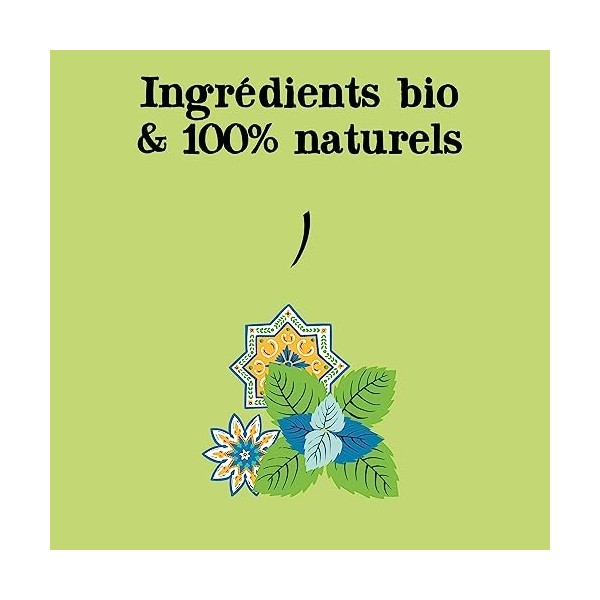 Clipper Natural, Fair and Delicious - Thé Vert Bio Menthe - Marrakech - Issu du Commerce Équitable - 20 sachets de Thé Bio - 