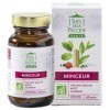 Thés de la Pagode - Complément Alimentaire Minceur - Thé Vert Sencha bio, Guarana, Maté - 60 Gélules Végétales Certifiées Bio