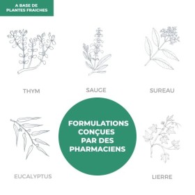 TISANE RESPIRATOIRE BIO | BIEN ÊTRE RESPIRATOIRE | REFROIDISSEMENTS | DÉCONGESTIONNANTE PULMONAIRE | EXPECTORANTE | PURIFIANT