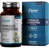 GH Tribulus Terrestris | 180 Tribulus Terrestris Comprimes 2000mg Tribulus Terrestris Haute Teneur Extrait 20:1 | Sans OGM 