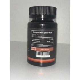 Tribulus terrestris - 60 Capsules végétaliennes de 500 mg - Extra Fort - Source dEnergie pour Performances Sportives, Endura