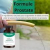 VITAVALIA - Formule Prostate - 90 gélules - Prunier dAfrique + Saw Palmetto + Guggul + Pépin de courge + Tribulus + Zinc - F