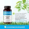 Valériane - Gélules de Racine - Extra Fortes 480 mg - 200 Capsules - Complément Naturel à Base de Plantes pour la Relaxation 