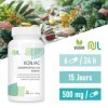 Konjac Gélules - Glucomannane 500 mg - 90 Gélules Végétales - Fibres Naturelles pour Perte Poids, Cholesterol EFSA , Bien-Êt