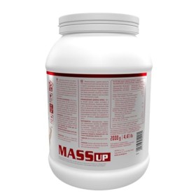 Activlab Mass Up 2kg | pot 2000g | 20 portions | goût chocolat | gainer | concentré de protéines de lactosérum | composition 