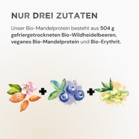 HARVEST REPUBLIC Protéine damande bio en poudre de myrtille sauvage avec 100 % de poudre de fruits véritable | 320 g de poud