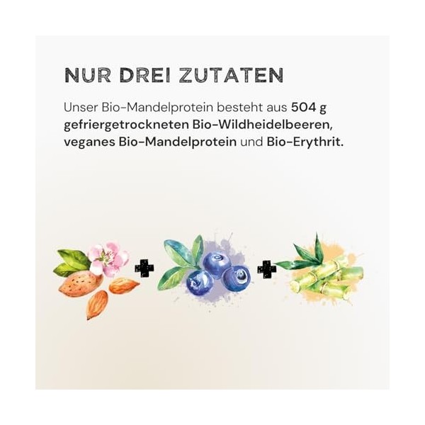 HARVEST REPUBLIC Protéine damande bio en poudre de myrtille sauvage avec 100 % de poudre de fruits véritable | 320 g de poud