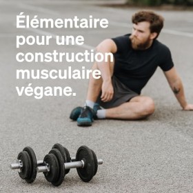 Protéine Végane – poudre de protéines végane au goût cacao – 1 kg – hautement dosé : 62% de protéines de pois, tournesol et c