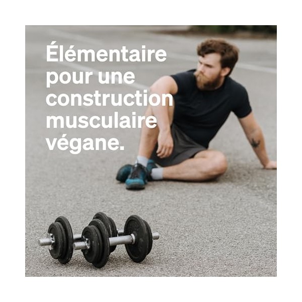 Protéine Végane – poudre de protéines végane au goût cacao – 1 kg – hautement dosé : 62% de protéines de pois, tournesol et c