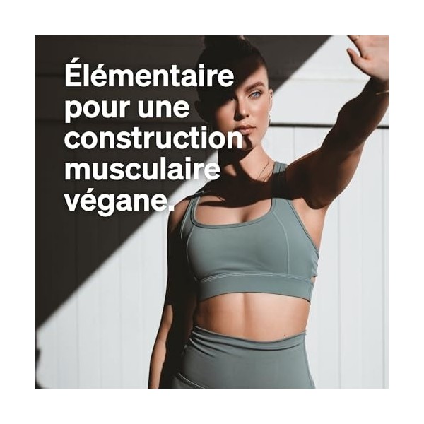 Protéine Végane – poudre de protéines végane au goût vanille – 1 kg – hautement dosé : 67% de protéines de pois, tournesol et