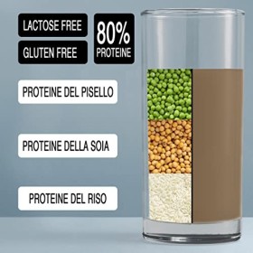 Shake protéiné végétalien 900g CHOCOLAT | GLUTEN FREE | LACTOSE FREE | Shake protéiné végétalien line@diet, 30 portions avec 