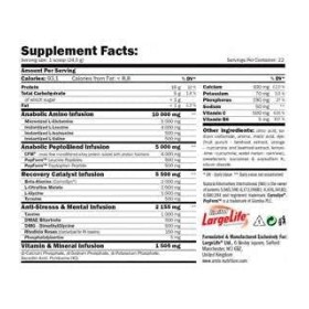 AMIX MUSCLECORE RE-CORE CONCENTRÉE 540 GRS - FRUIT PUNCH