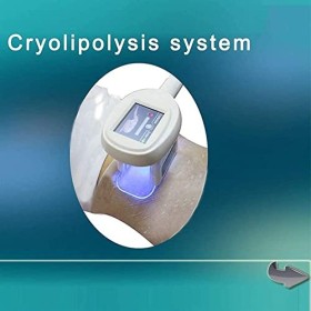 Corps de congélation de Graisse de cryolipolyse Amincissant la Machine de Sculpture de Corps de Machine de lipolyse avec 3 po