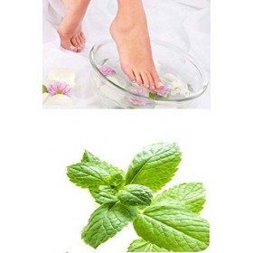 PIEDS’RELAX MENTHE - Soin Bain des Pieds - 20 Billes Effervescentes aux Huiles Essentielles Calmantes et Rafraichissantes -