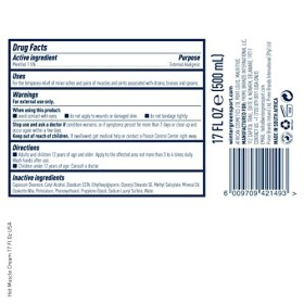 Pain Relief Heat Cream by Wintergreen for Unisex - 17 oz Cream