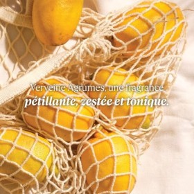 LOCCITANE - Lait Corps Frais Verveine Agrumes - 250 ml - Fabriqué en France