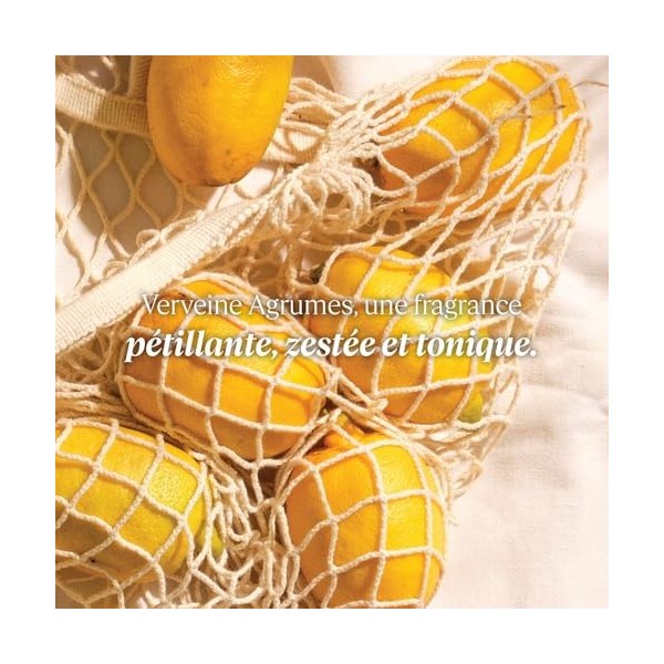 LOCCITANE - Lait Corps Frais Verveine Agrumes - 250 ml - Fabriqué en France