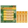 Burts Bees Jingle Balms by Burts Bees for Unisex - 4 Pc 0.15oz Lip Balm - Let Is Now, 0.15oz Lip Balm - Be Jolly, 0.15oz Sip 