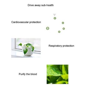 Double dispositif Spa bain de pied ménage Machine bain pied désintoxication ionique avec fonction lecture musique pour favori