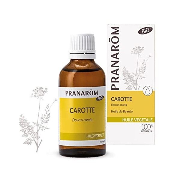 Pranarôm |Huile Végétale Carotte Bio | Eclat du Teint | Extrait lipidique titré de racines de Carotte | 50 ml