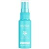 Spray pour le Visage,Spray Visage et Peau,Spray Apaisant pour le Visage,Skin Renew Toner Visage Spray,Spray Pulvérisation Apa