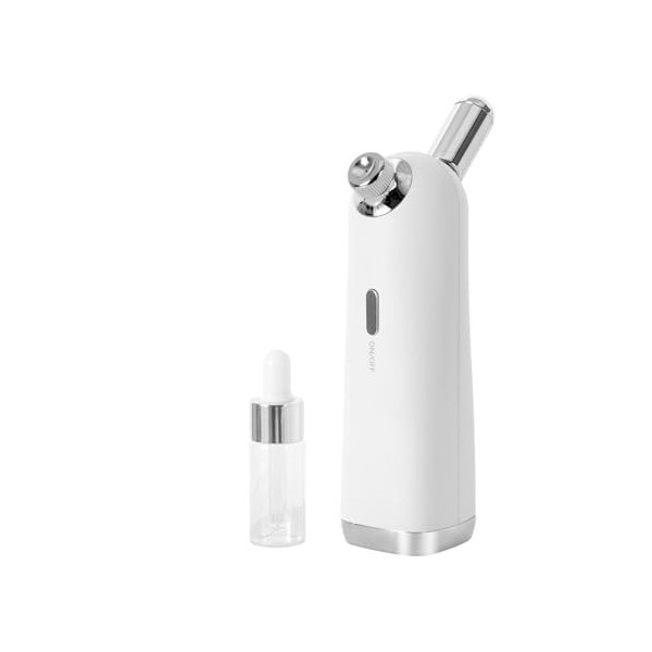 Mini vaporisateur facial portable rechargeable haute pression pour le visage, maquillage quotidien, soins de la peau blanc 