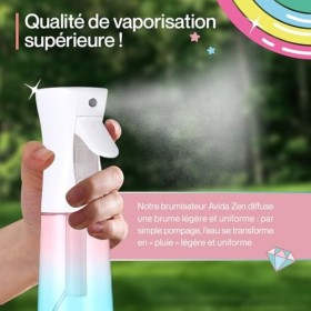 Brumisateur Rechargeable Eau 300ml - Brumisateur de Poche Visage - Vaporisateur d’eau multifonctionnel : Parfums Ambiance, Pl