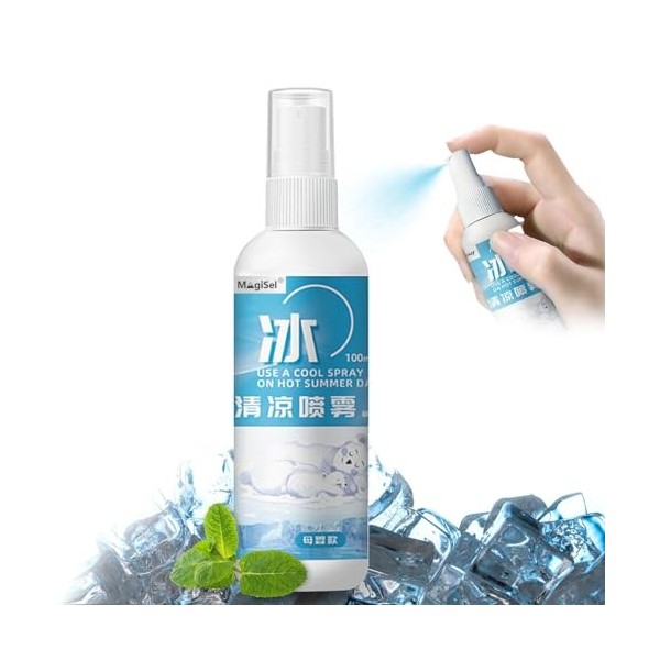 Cooling Mist Spray, Spray rafraîchissant pour temps chaud, 100 ml, Body Haze Spray to Soothe Sunburn, Spray à la menthe natur