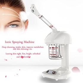 Machine de Pulvérisation Ionique Machine Faciale de Soins de la Peau à la Vapeur Dozone de Station Thermale de Salon de Vape