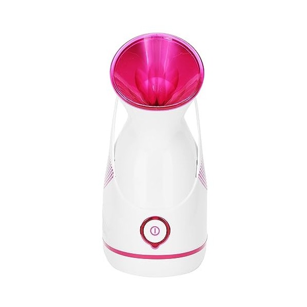 Yctze Vaporisateur Nano pour Le Visage, 100ml, Brume Chaude, Hydratant, Humidificateur, avec Prise UE 220V